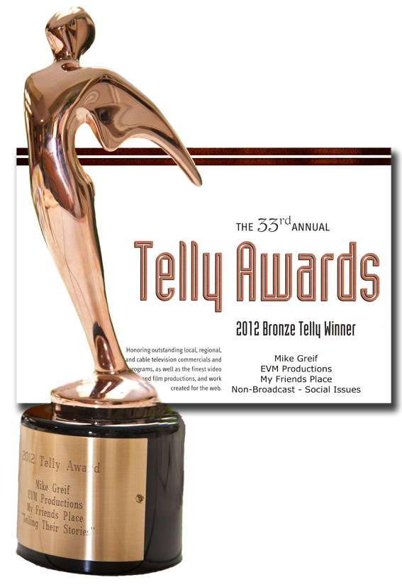 Telly Award My Friends Place